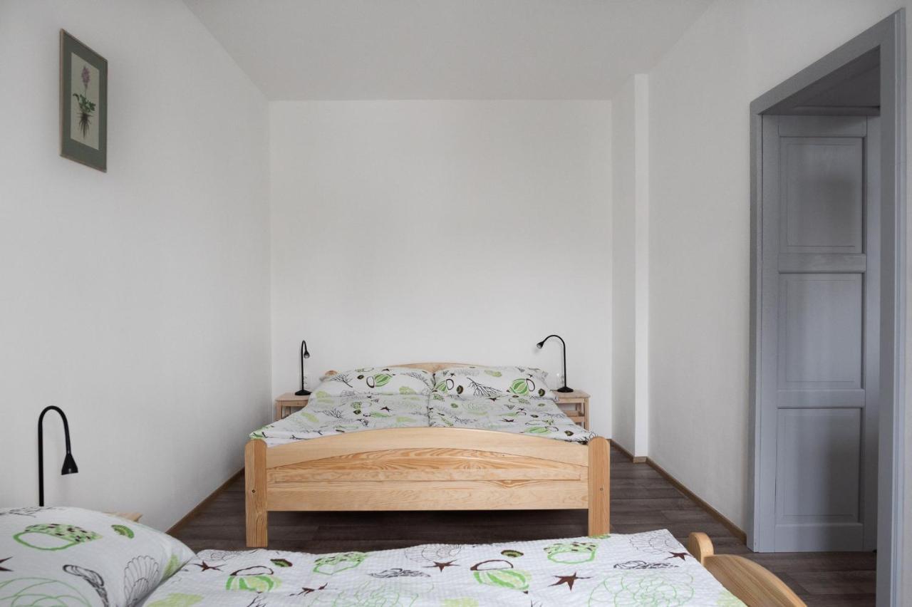 Apartmany16 Olesnice V Orlickych Horach Extérieur photo